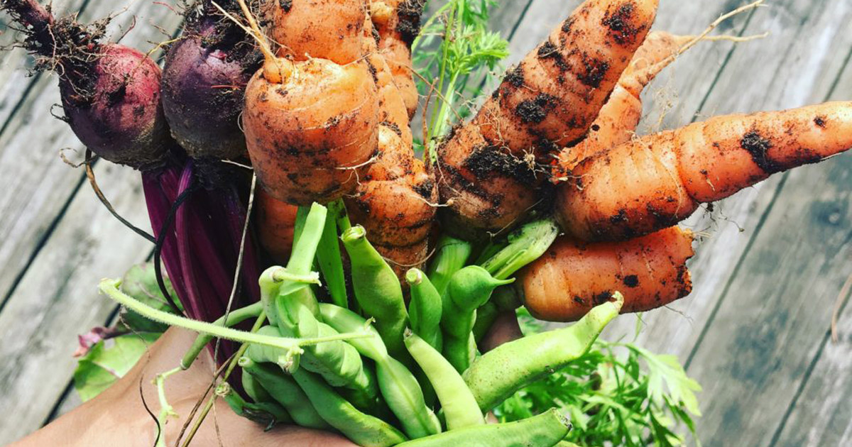 Légumes du jardin - rentrée en santé | Inspire Mouvement